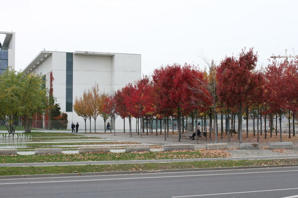 The government was moved from Bonn to Berlin in 1999. There are lots of architecture to watch. These are just beautiful trees